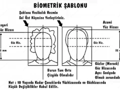 Biyometrik Fotoğraf Özellikleri (Vesikalık) Biyometrik Fotoğraf Şablonu